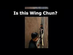 Is This How Wing Chun Works?