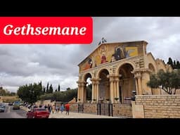 Holy Thursday . GETHSEMANE Where Jesus Prayed with agony | Judas Iscariot betrays Jesus