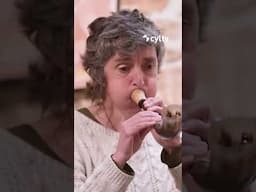 Con la Música a Todas Partes T27/40