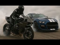 H2R Kawasaki vs Ford Shelby GT500