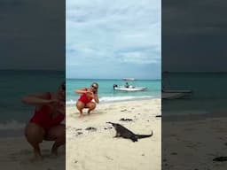 Is there anywhere as amazing as the EXUMAS!?