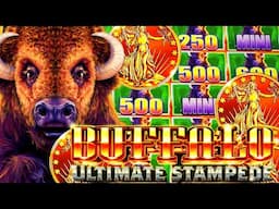 GOOD ‘OL BUFFALOES!!! 🦬  BUFFALO ULTIMATE STAMPEDE Slot Machine (ARISTOCRAT GAMING)