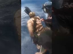 Marines are Amphibious