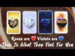 How are They Currently Feeling About You?❤️💙 Pick a Card Timeless In-Depth Love Tarot Reading
