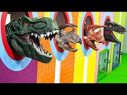 Toy Learning Video with Dinosaurs, Color balls and Eggs | Surprise Toy Fun Time | Kids Learning