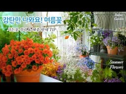 새로 피어난 여름꽃 5가지 / 여름꽃 예쁘게 피우고 싶다면? 지금 꼭 해야 할 시든꽃 정리 & 해충 방제 TIP /피기만 하면 감탄 연발!