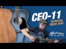 A VERY Unique Tone from Martin's New CEO-11