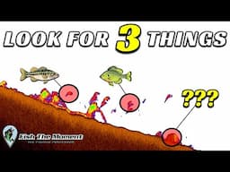 Only 5% of Brush Piles Hold Bass – Here’s How To Find The Good Ones