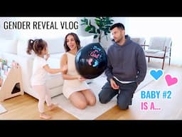 VLOG | Surprise Gender Reveal, Closet Organization & Baby Haul | Annie Jaffrey