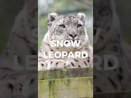 Endangered Species Day