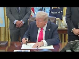 Análisis tras 100 días del gobierno de Donald Trump