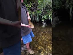 INSANE Fish Rescue! Well Done Guys ❤️
