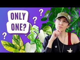 Only ONE Plant Per Genus?! Here’s What I’d Keep