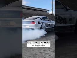 Let the performance speak for itself, not the name!