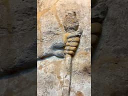 The Lion Headed Man (Uglallu) #assyrian #ancient