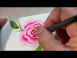 Painting Loose Watercolour Floral (Rose)