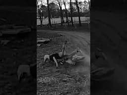 First Timer CRASHES HARD! *This Is Bad*