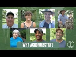 Why Agroforestry? | Hear from US farmers about why they're planting trees on their farms