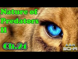 The Nature of Predators 2 ch.24 | HFY | Series