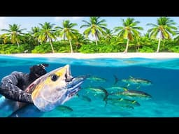 WE NEVER EXPECTED THIS! Spearfishing MONSTERS In A Remote Tropical Area!