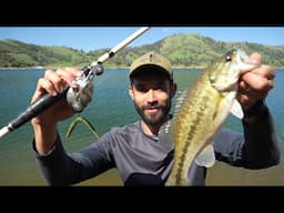 Freshwater Journey Begins! - Day 1 Fishing for Bass