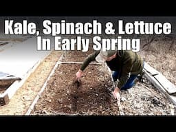 How (and why) I Sow Kale, Spinach & Lettuce in Early Spring