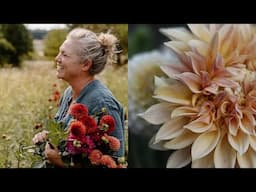 Growing Beautiful Dahlias From Cuttings