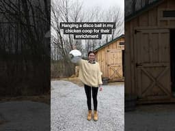 Hanging a disco ball in my chicken coop