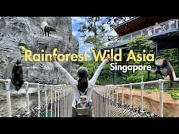 Day Out at RAINFOREST WILD ASIA 🐒 Singapore’s First Adventure Zoo 🐊 Weekend Vlog