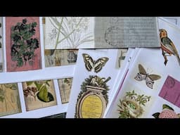 ETSY UPDATE | New FIELD NOTES digitals