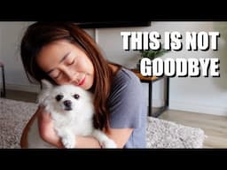 This Is Not Goodbye