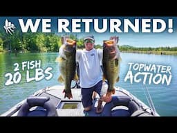 The Most Viral Lake Ever!!! We Challenged The Pros Again!! (Giant Bass)