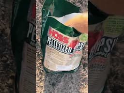 Controlling Blossom End Rot on Tomatoes! #shorts #gardening #growhoss