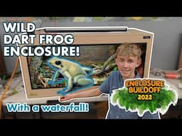 Building a HUGE DART FROG ENCLOSURE at the Snake Discovery Build-Off!