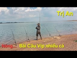 Nóng....Bãi câu cá Hót nhất hồ Trị An nơi có rất nhiều Cá Trôi và mè vinh cá rô phi.