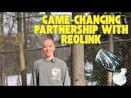Our Game-Changing Partnership with Reolink | Wildlife Removal Technology