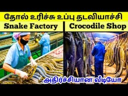 பாம்பு முதல் முதலை வரை 😱 | World’s Most Dangerous Factories | Tamil Amazing Facts | Snake | Leech