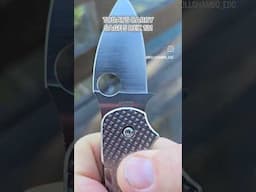todays Carry - spyderco sage 5