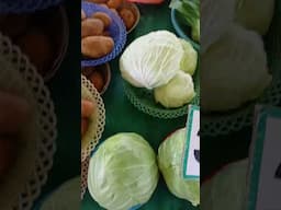 3 for 50 Bath 😍 cheaper vegetables #viralvideo #shorts #shorts