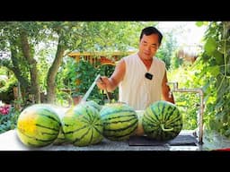 Watermelon Cooking Sauce! The World BEST Sauce, Sweet and Spicy Flavors! | Uncle Rural Gourmet