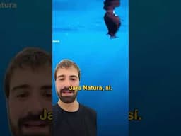 LA VERDAD DEL PEZ ABISAL
