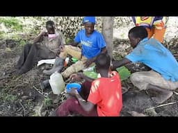 Typical African village  life in Uganda, corn farm, rice planting