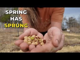 It's Planting Season Again! & Why we've been gone... (Calico Cow Acres Homestead)