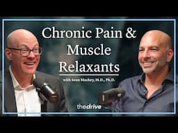 Chronic Pain & Muscle Relaxants: Neurontin and Baclofen | Sean Mackey, M.D., Ph.D.
