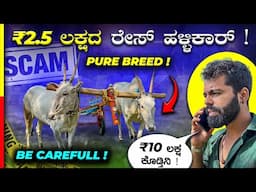 HALLIKAR REVIEW💥ಶೋಕಿಗೆ ಸಾಕೋದು, ರೇಸಿಗೆ ಬಿಡೋದು🤯#bullockcart #race