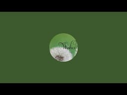 Wishes and Weeds is live!