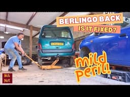 Berlingo fix, 2CV investigations, Daihatsu creaks... Weekly update