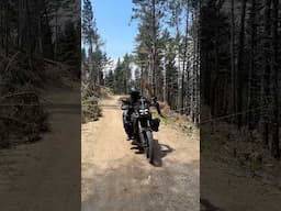 Epic Off-Road Adventure You Have to See!