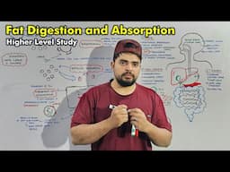 Digestion and Absorption of Lipids (fats): Detailed lecture