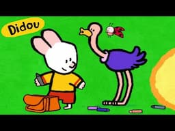 Didou dessine moi : Une Autruche 🎨 | Compilation Enfants